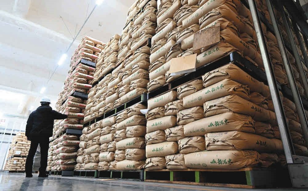 松戸市備蓄米の購入先はココ!