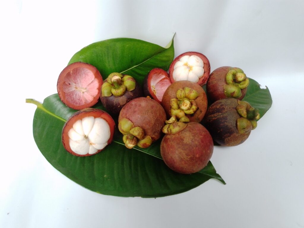 マンゴスチンはどこで買える?生・冷凍の入手方法と旬を徹底解説