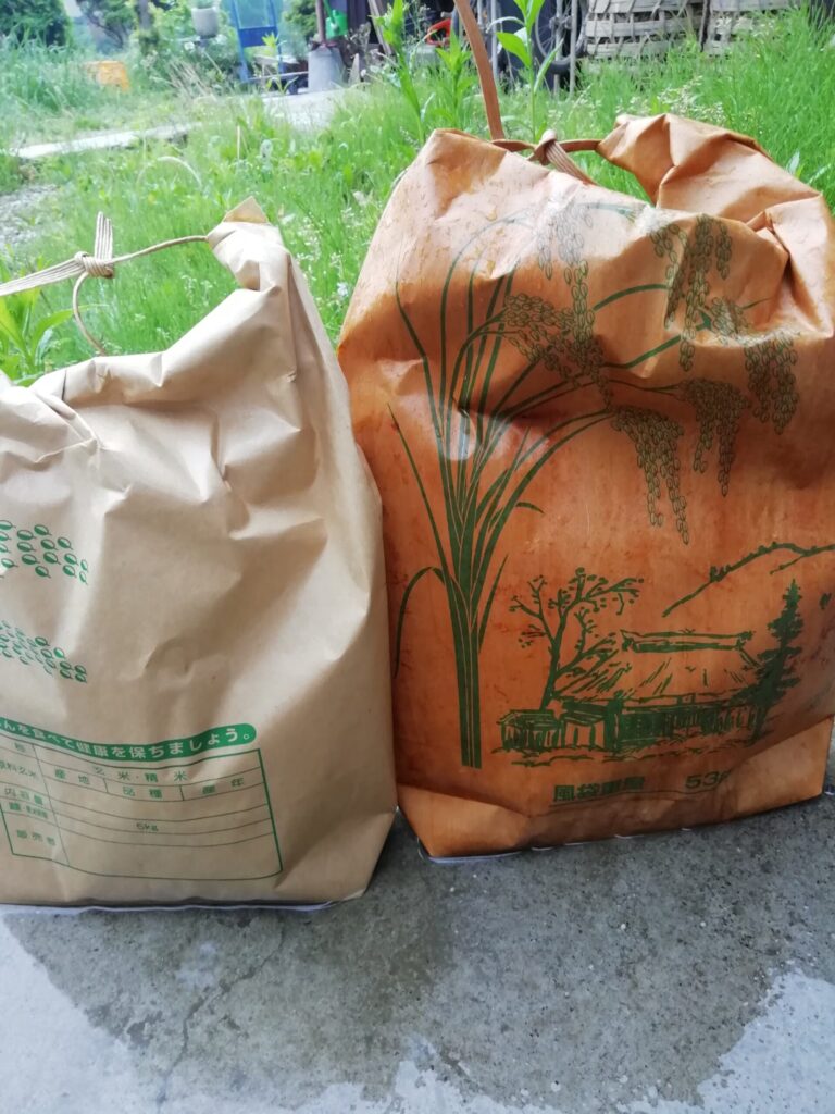 備蓄米30kg完全ガイド!長期保存術とおすすめ選び方