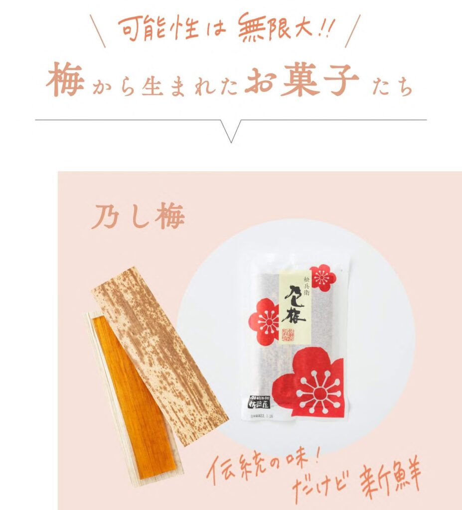 山形銘菓のし梅はどこで買える？販売店から通販まで徹底解説！