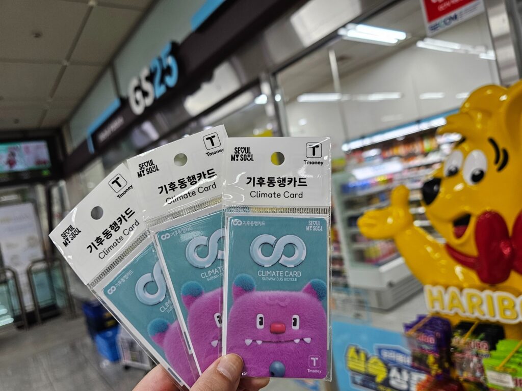 ソウル駅で気候同行カードをどこで買える？購入から利用まで徹底解説
