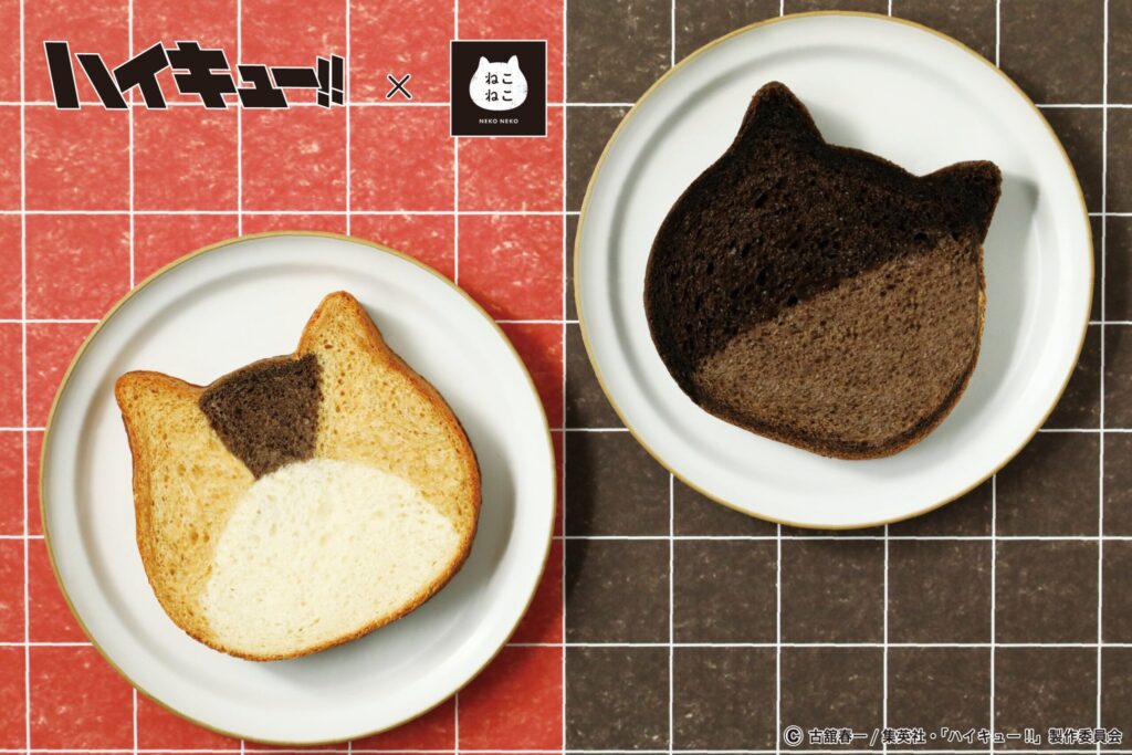 「ハイキュー ねこねこ食パン」完全ガイド!いつからどこで買える?